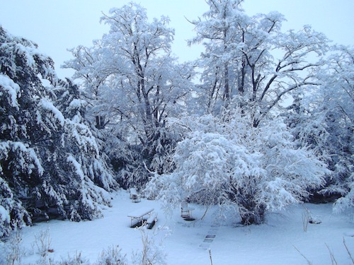 Neige, 20 janvier 2015, Marc Tamet